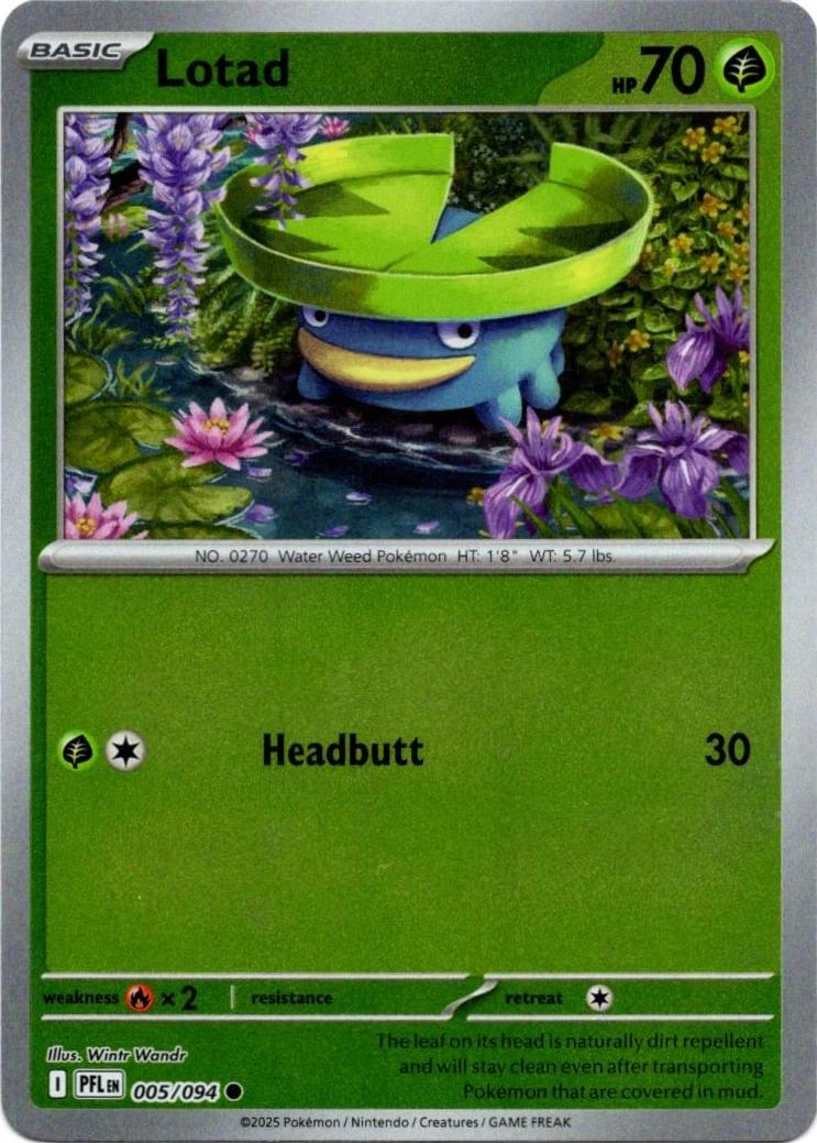 Lotad