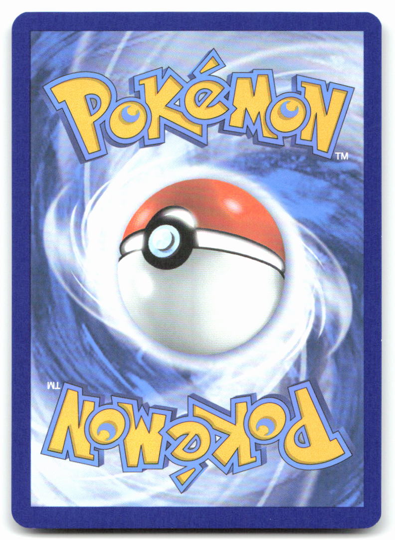 Surfer - 187/191 (Back)