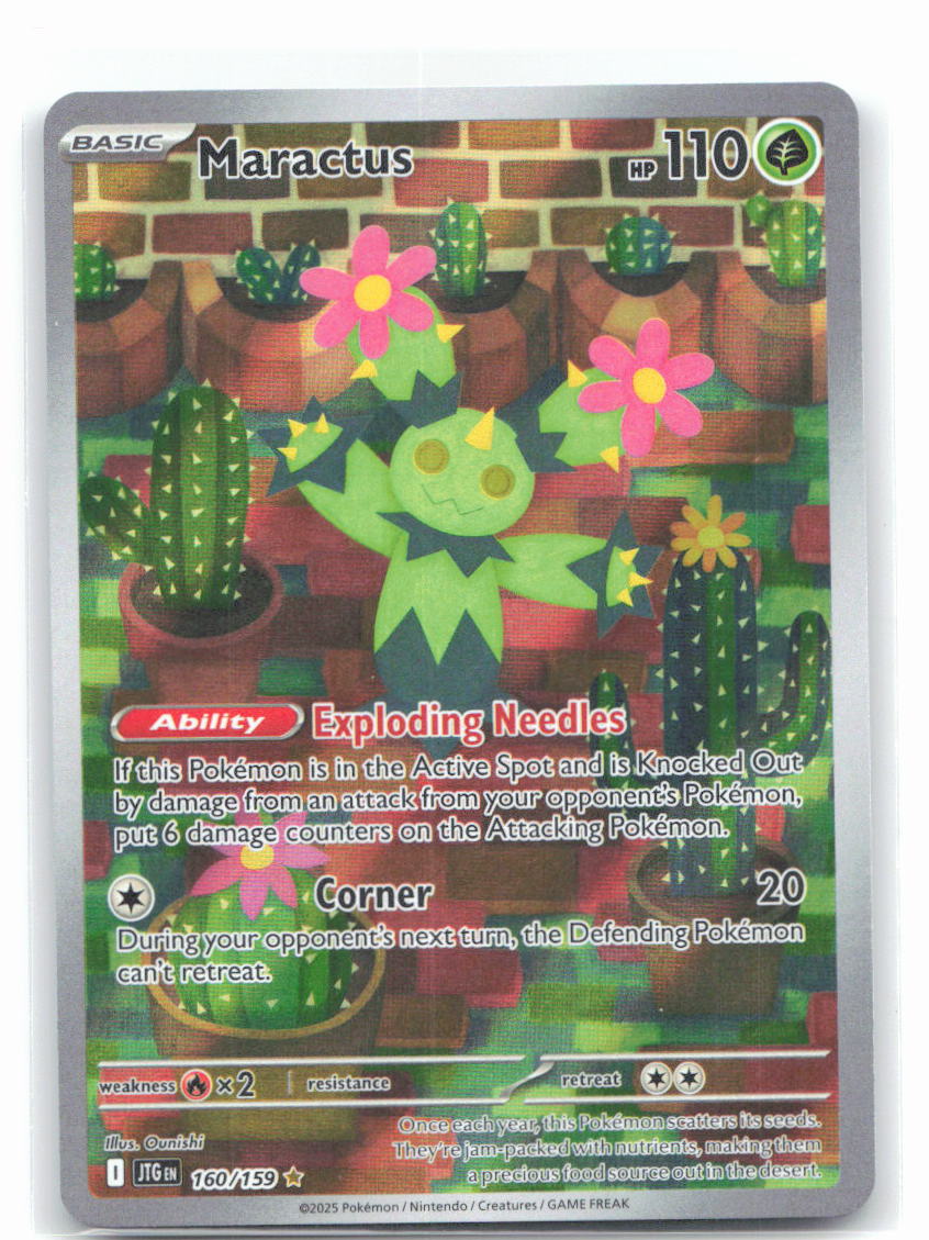Maractus - 160/159