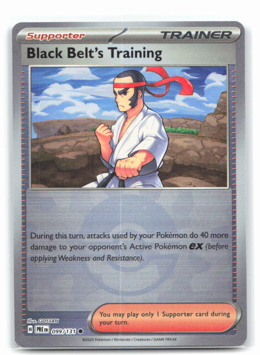 Black Belt's Training - 099/131 (Poke Ball Pattern)