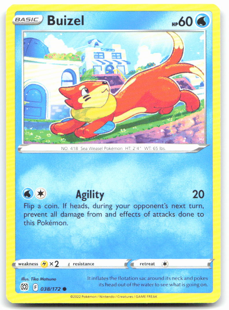 Buizel