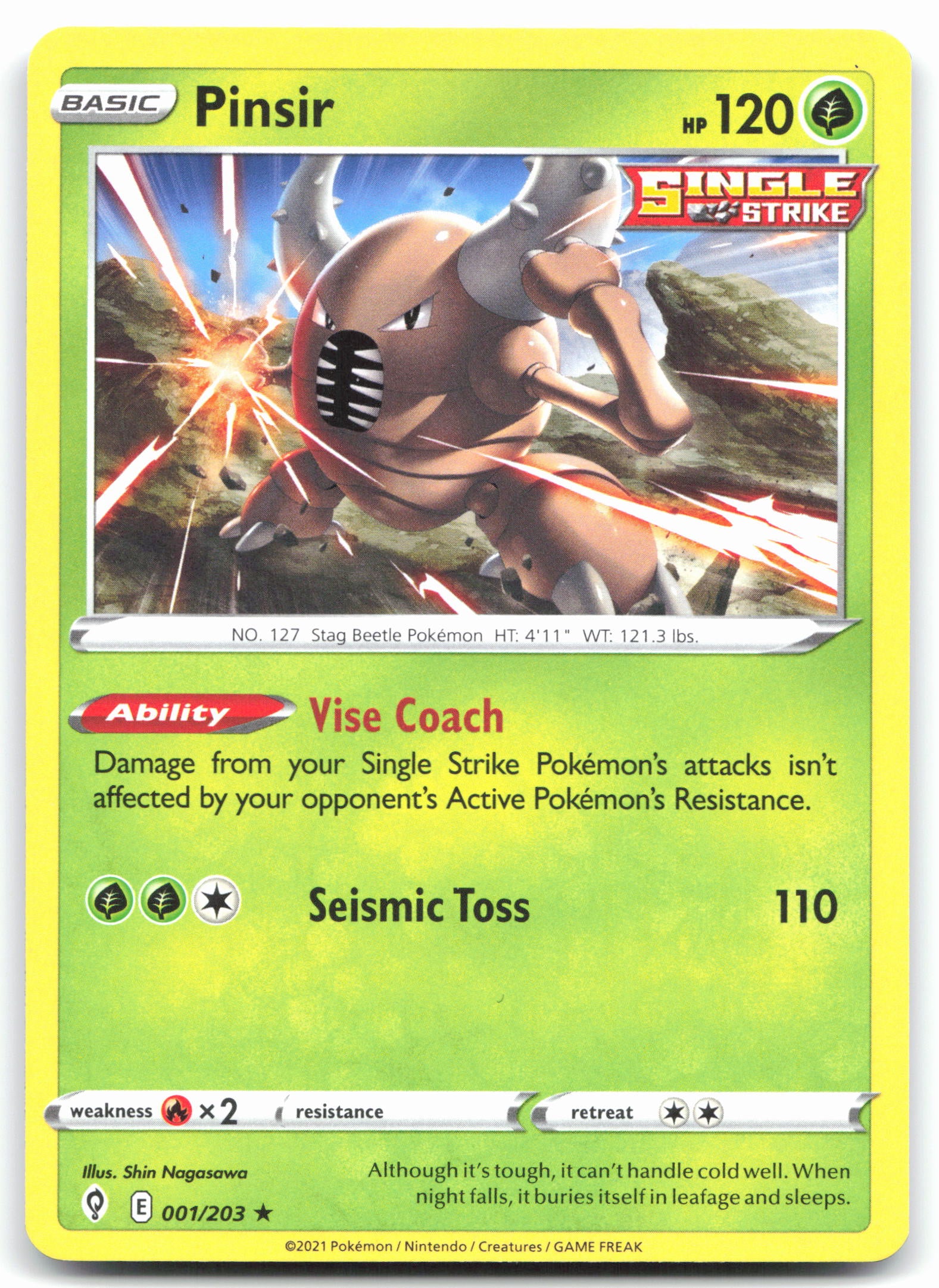 Pinsir