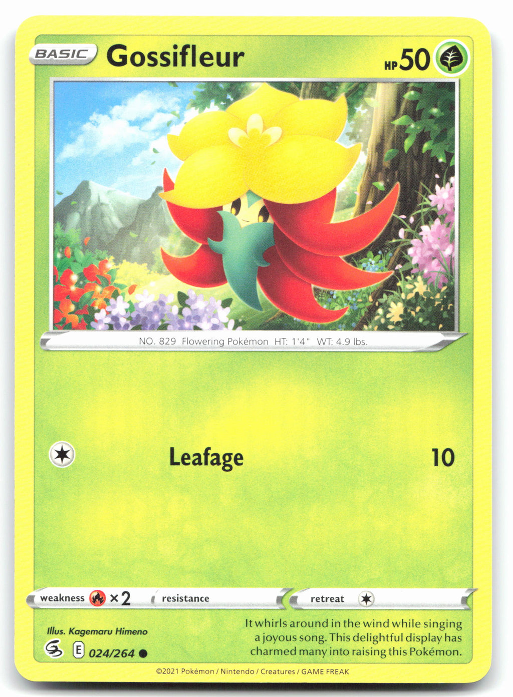 Gossifleur