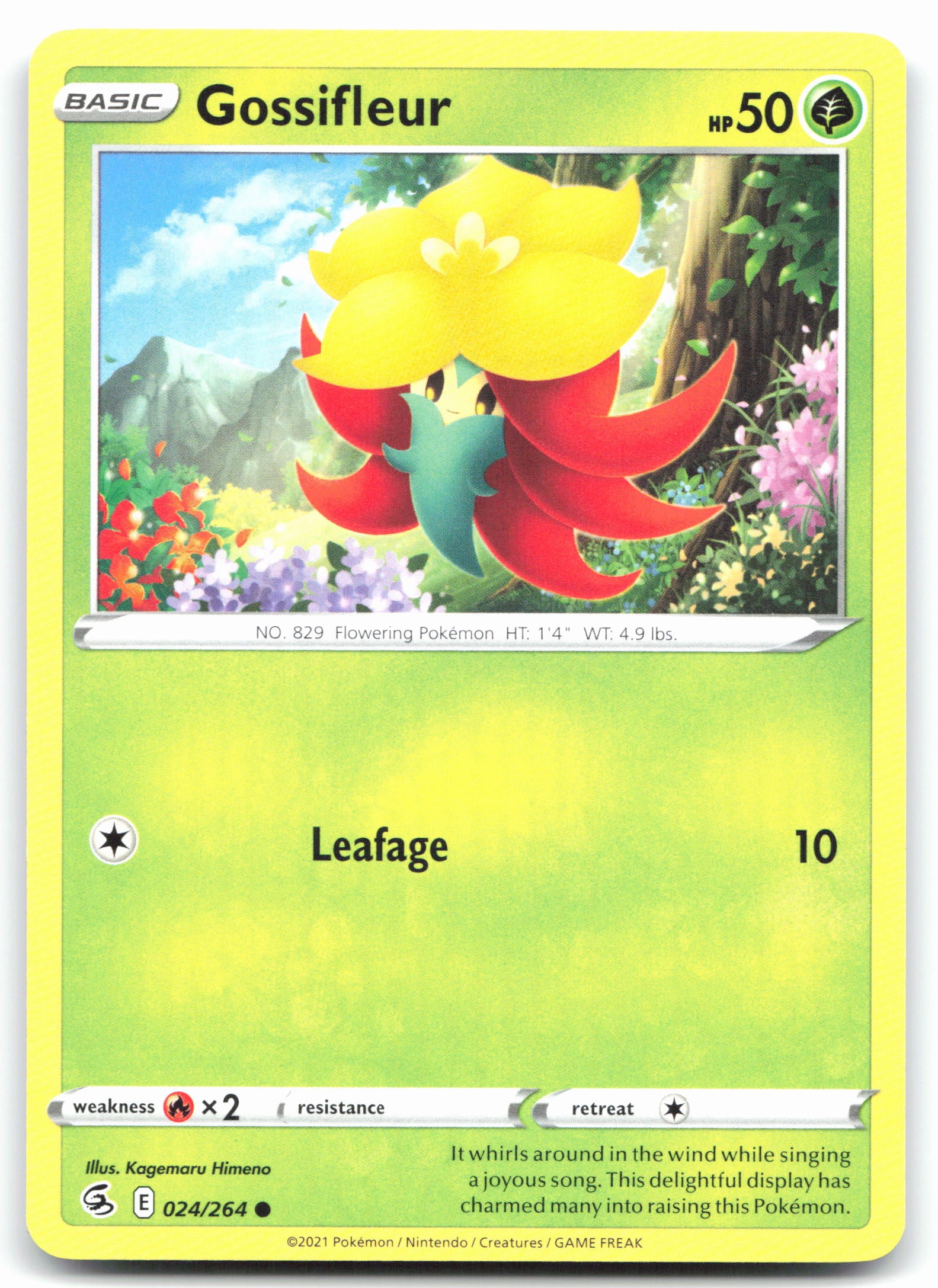 Gossifleur