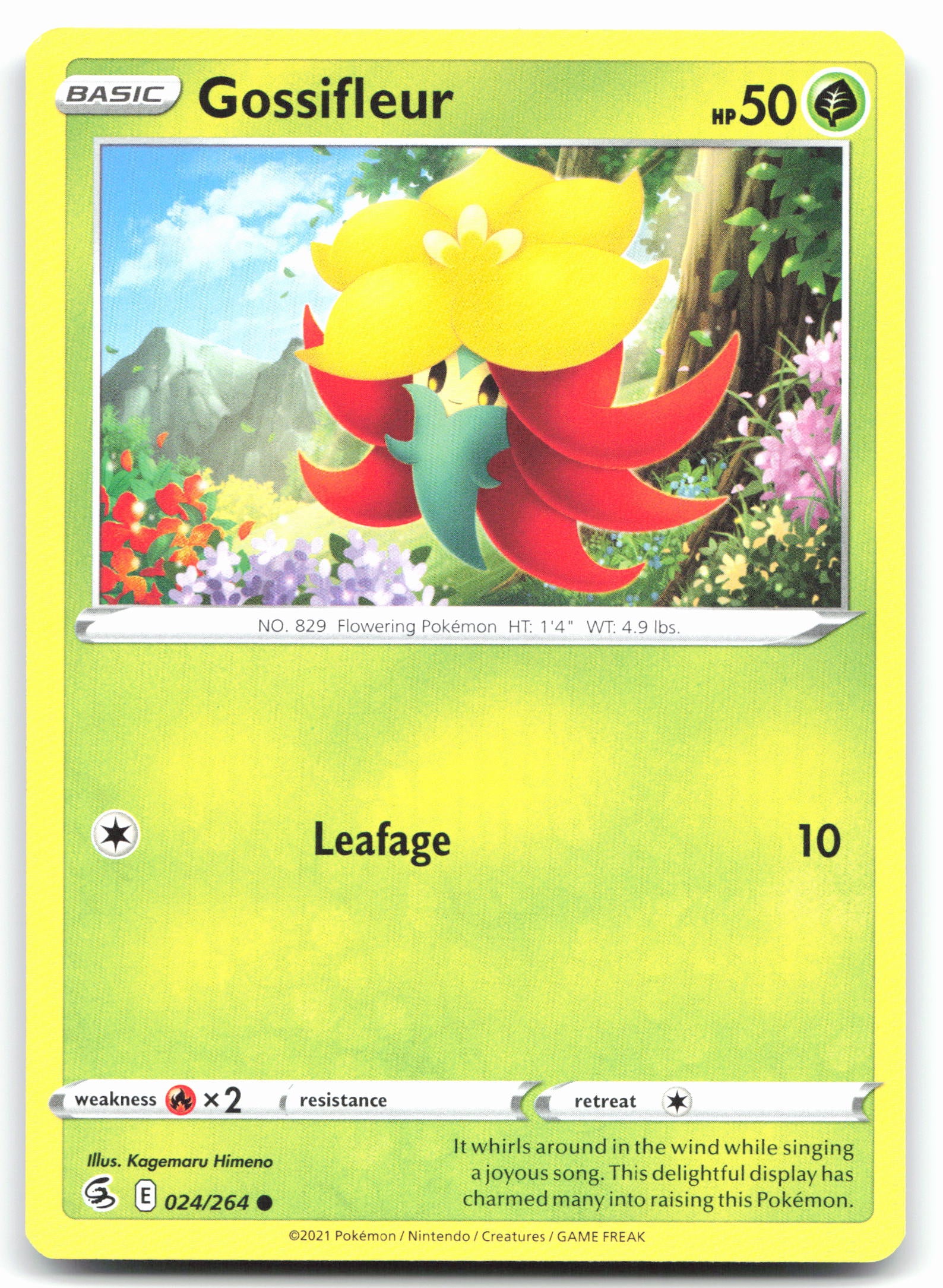 Gossifleur