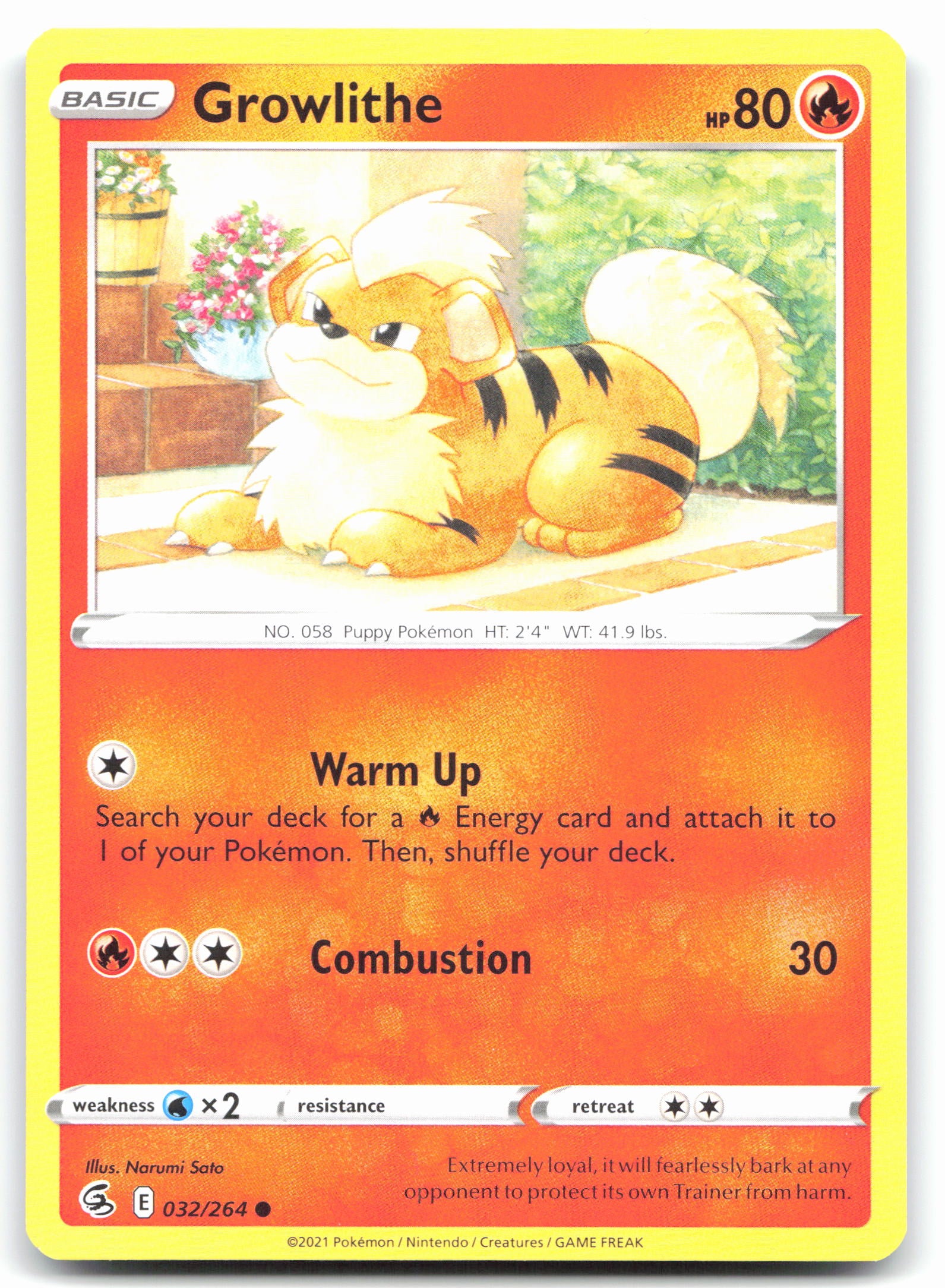 Growlithe