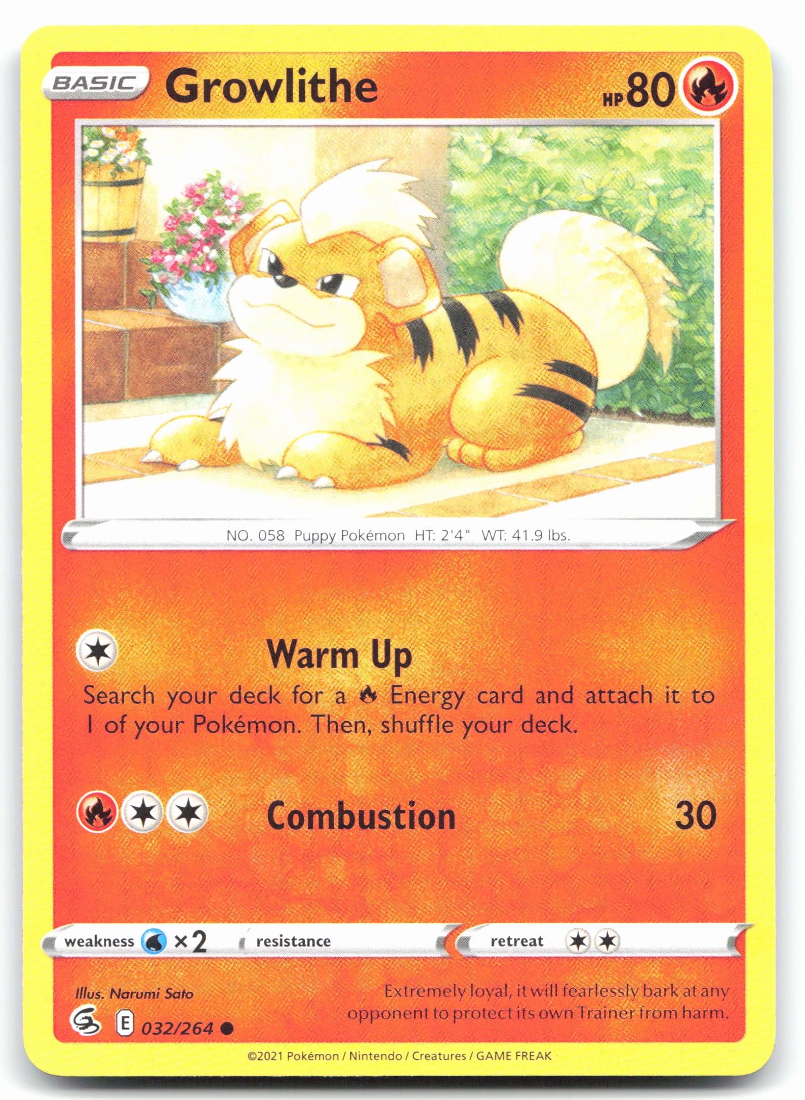 Growlithe