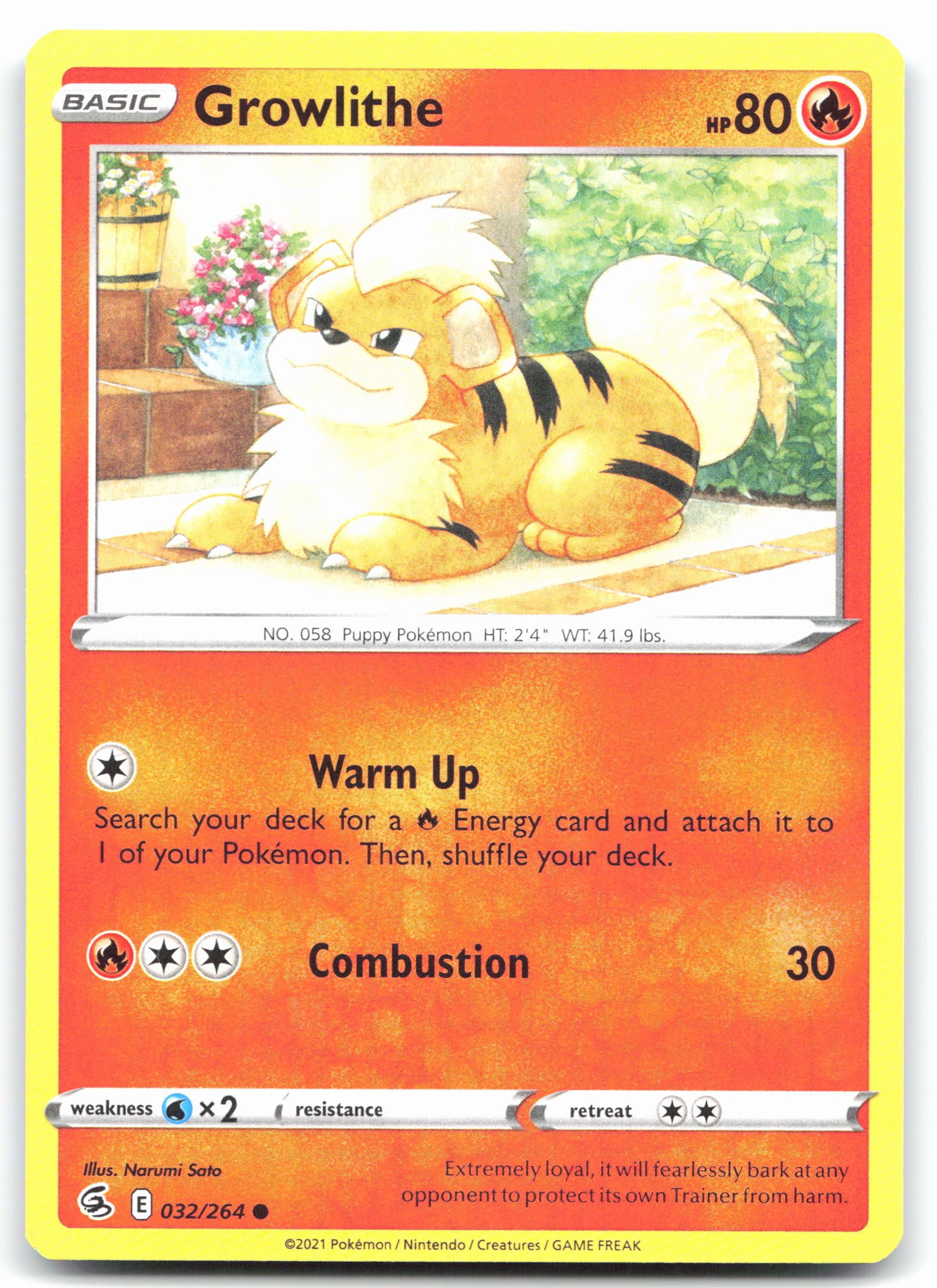 Growlithe