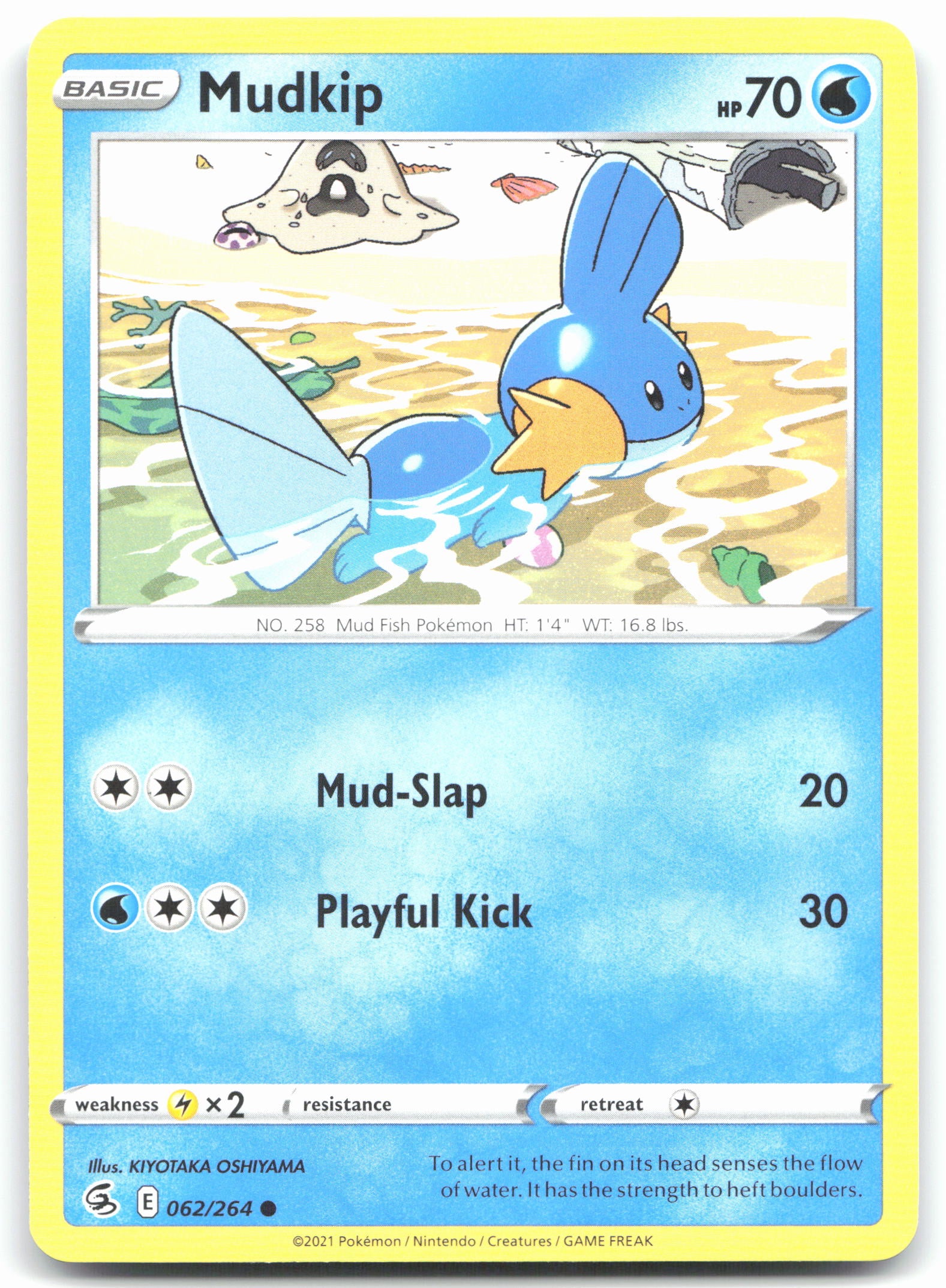 Mudkip