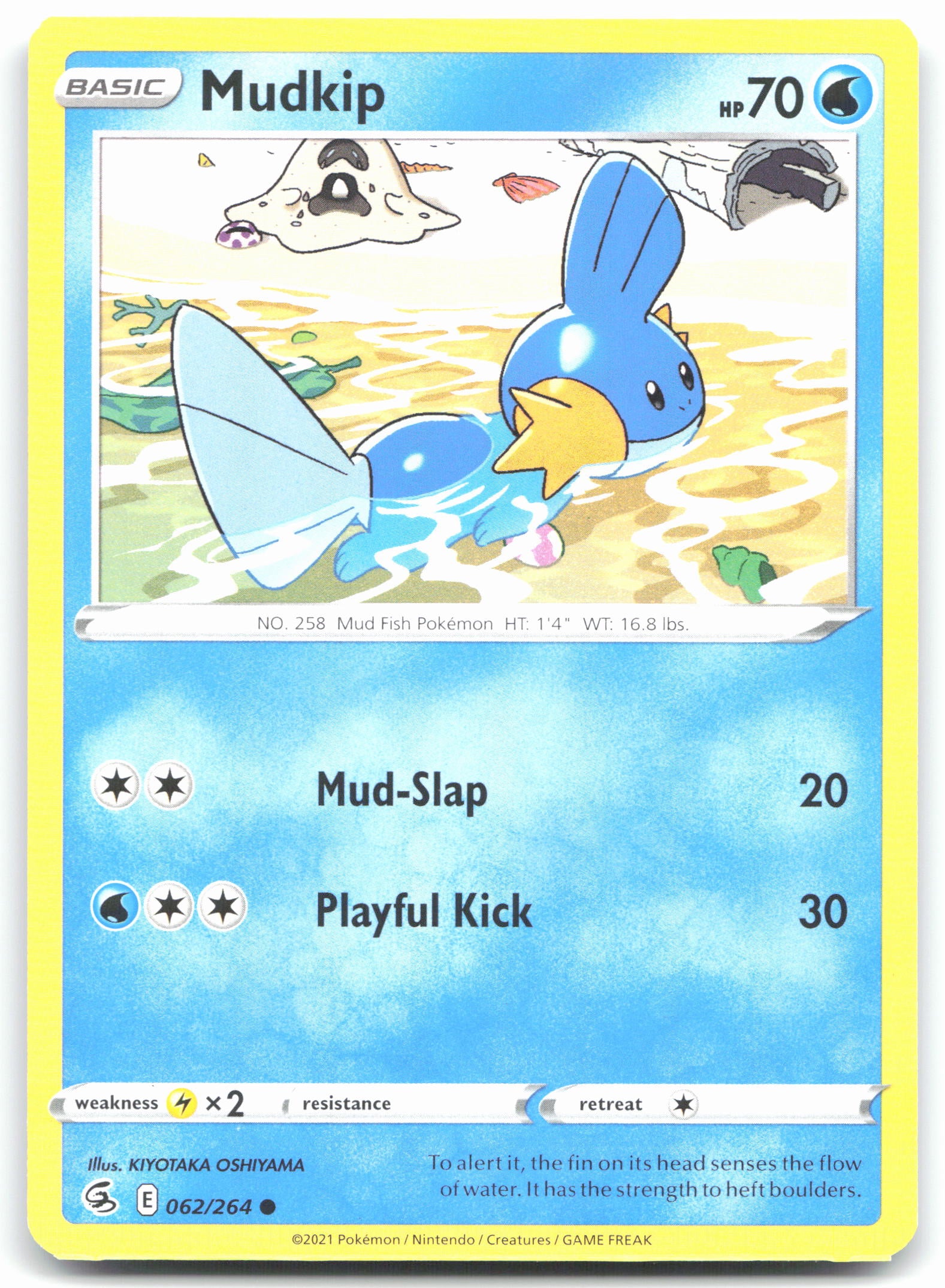 Mudkip