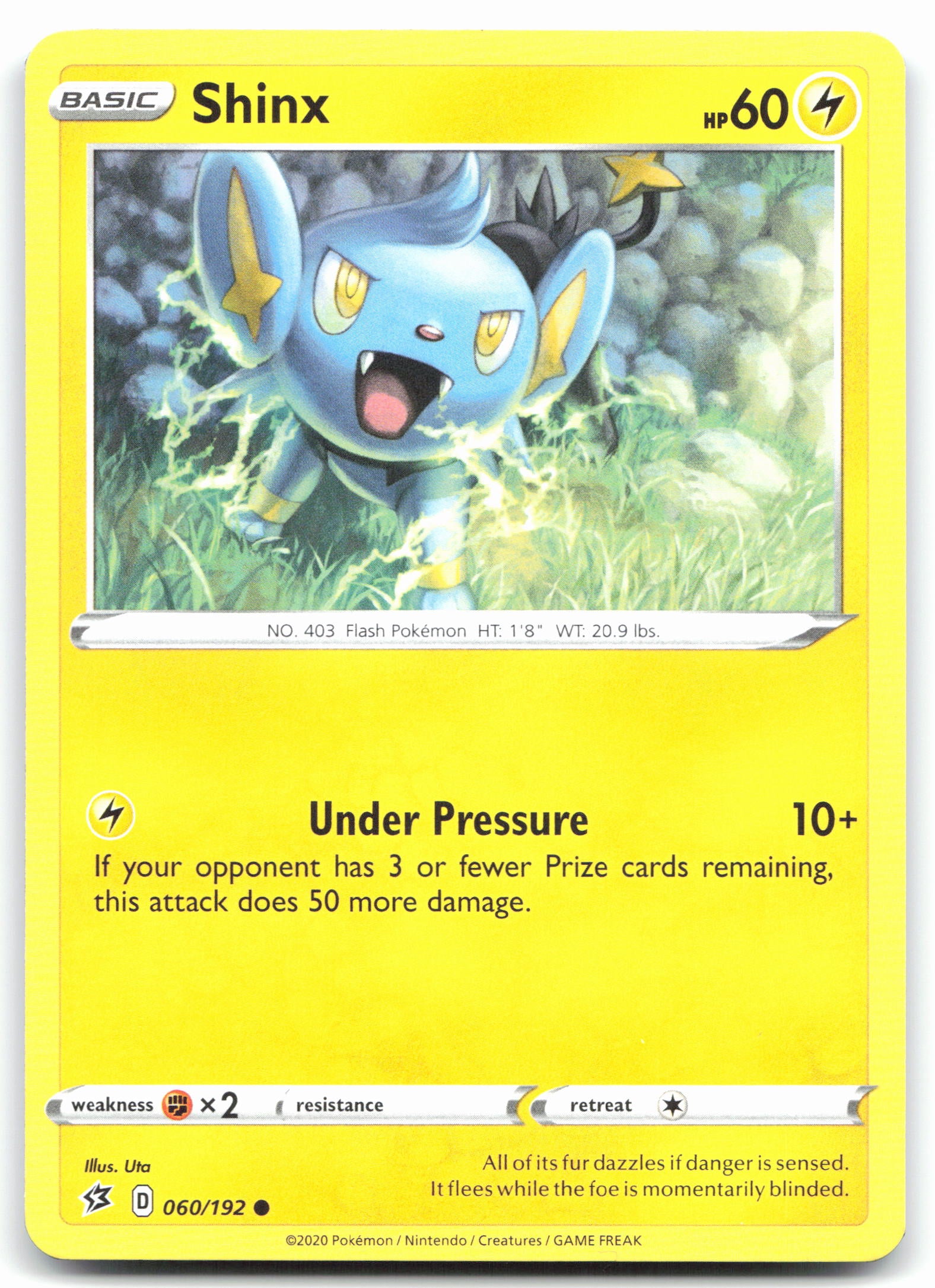 Shinx