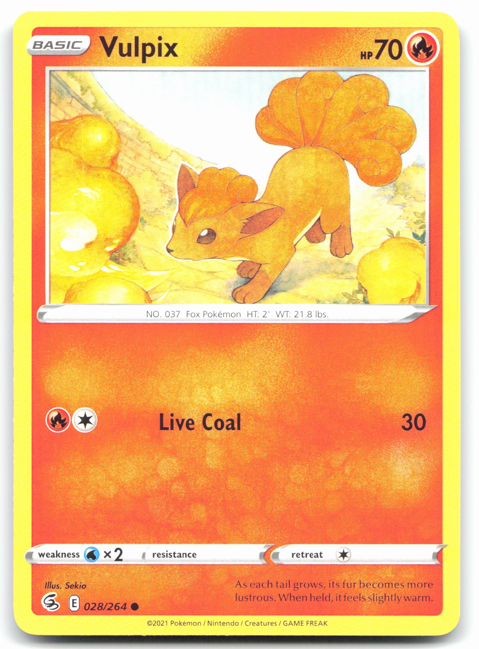 Vulpix (28)