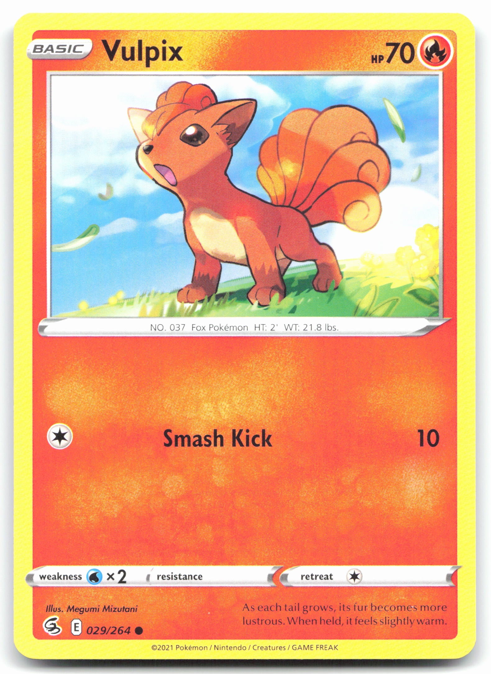 Vulpix (29)