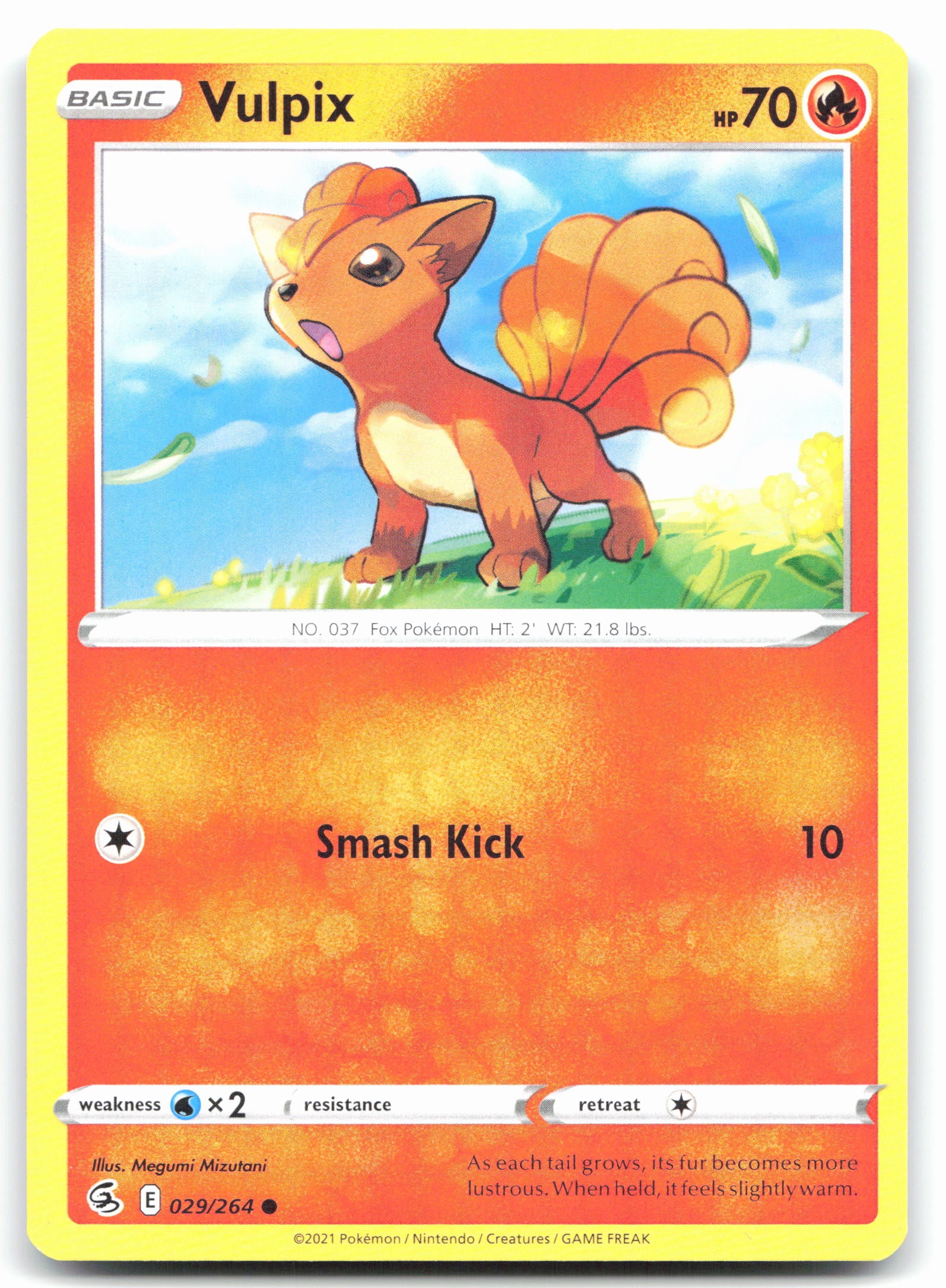 Vulpix (29)