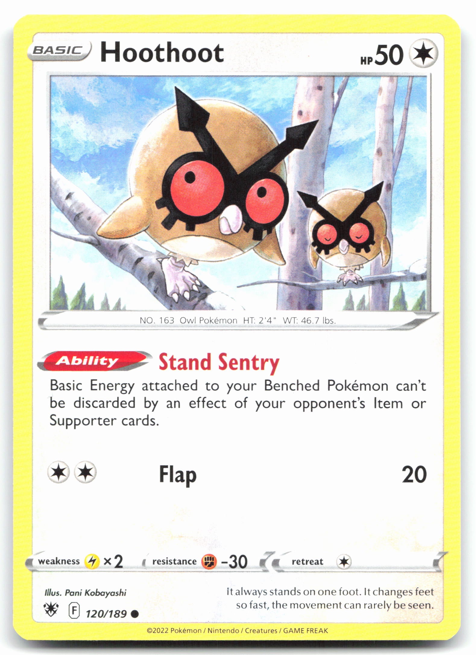 Hoothoot