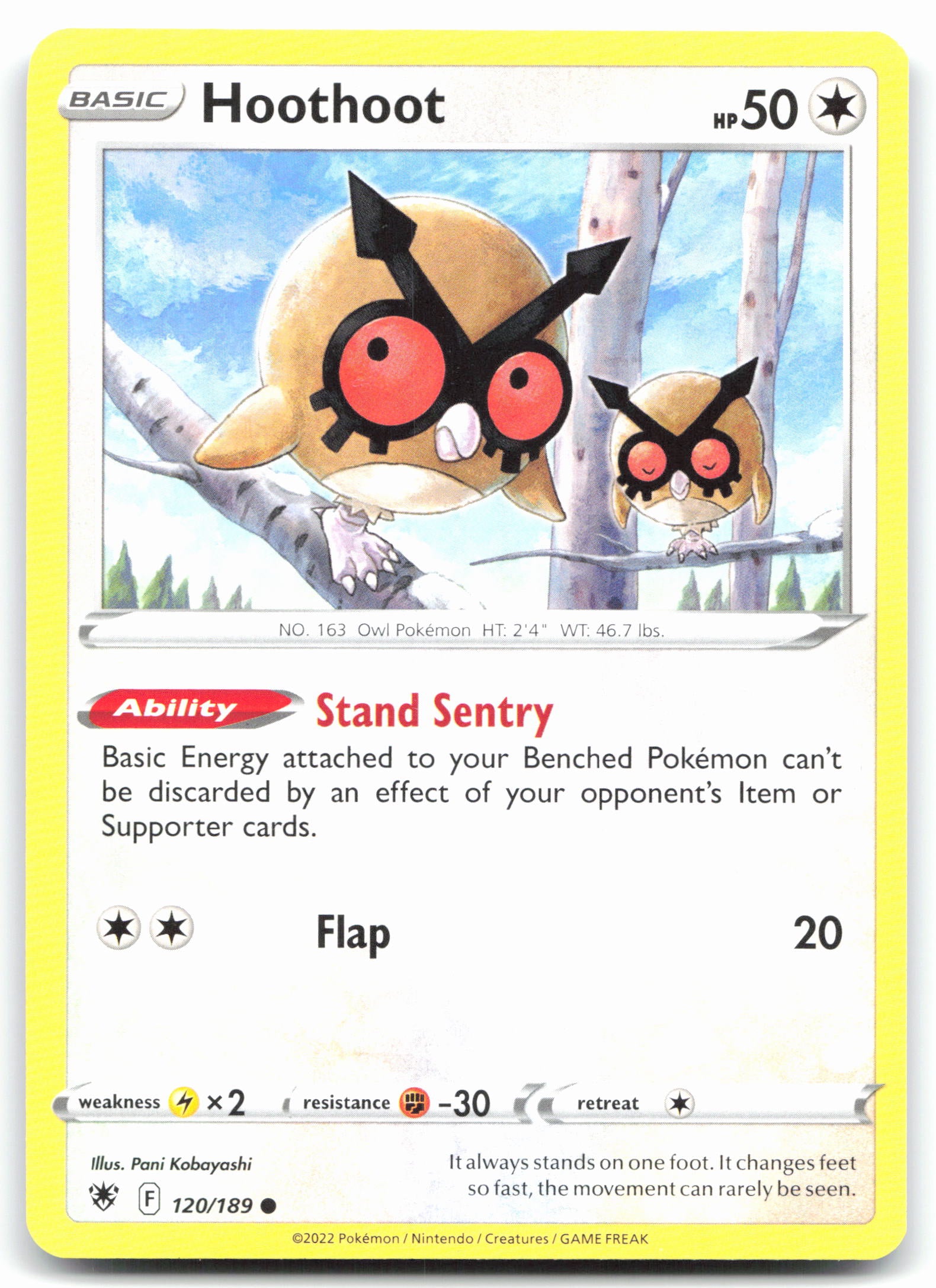 Hoothoot