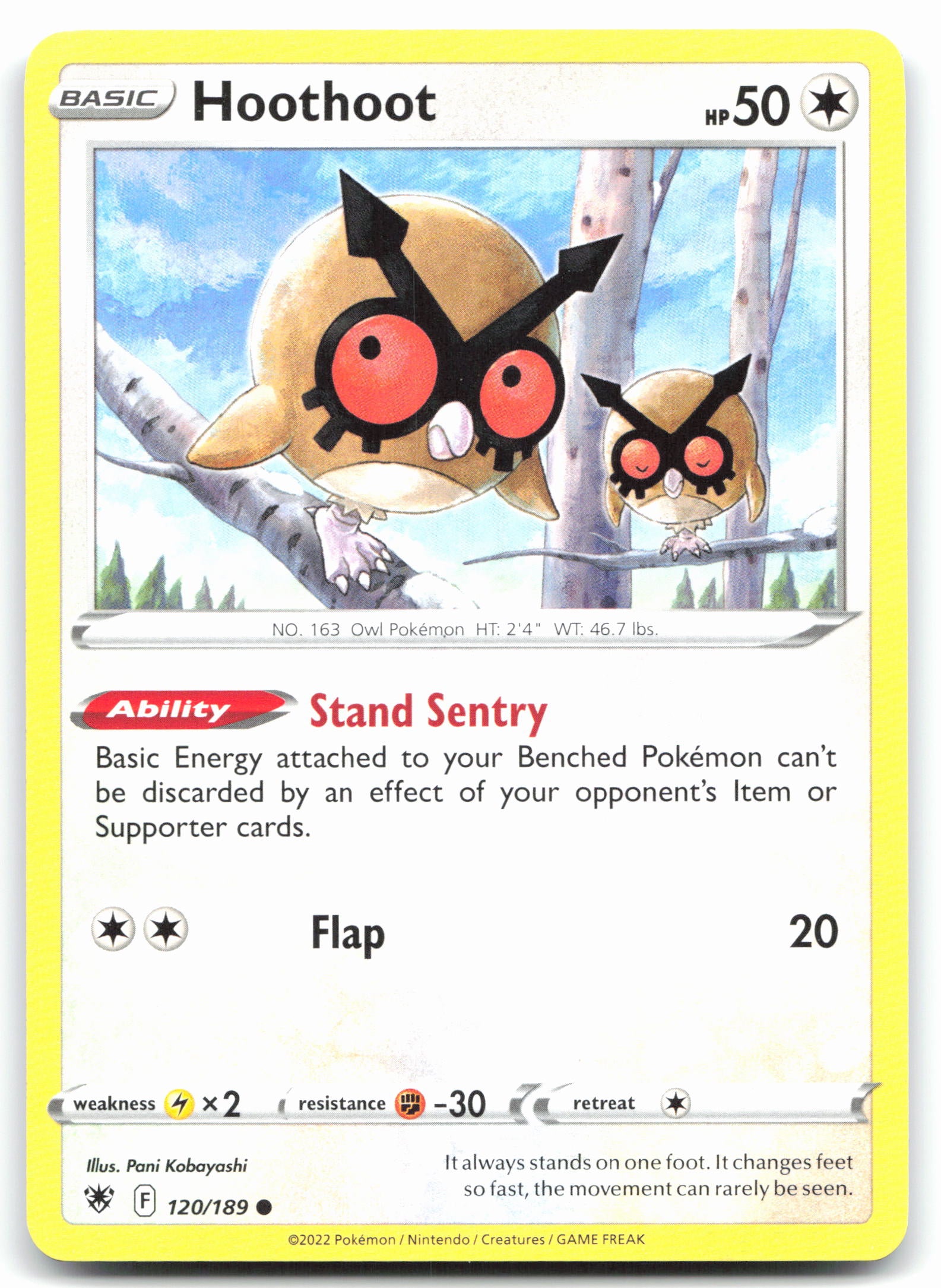Hoothoot