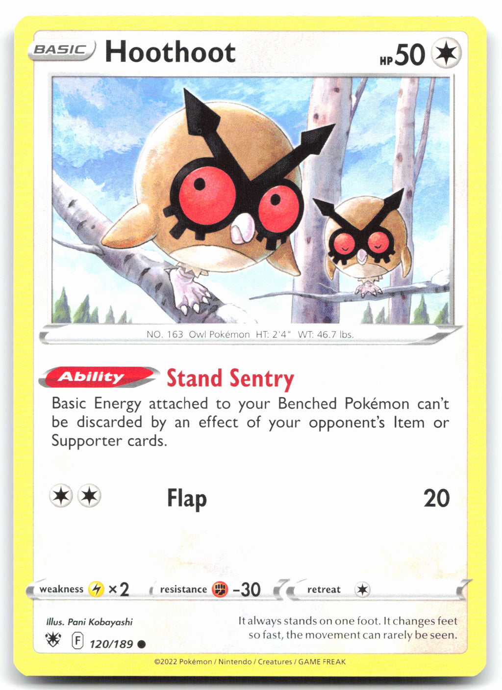 Hoothoot