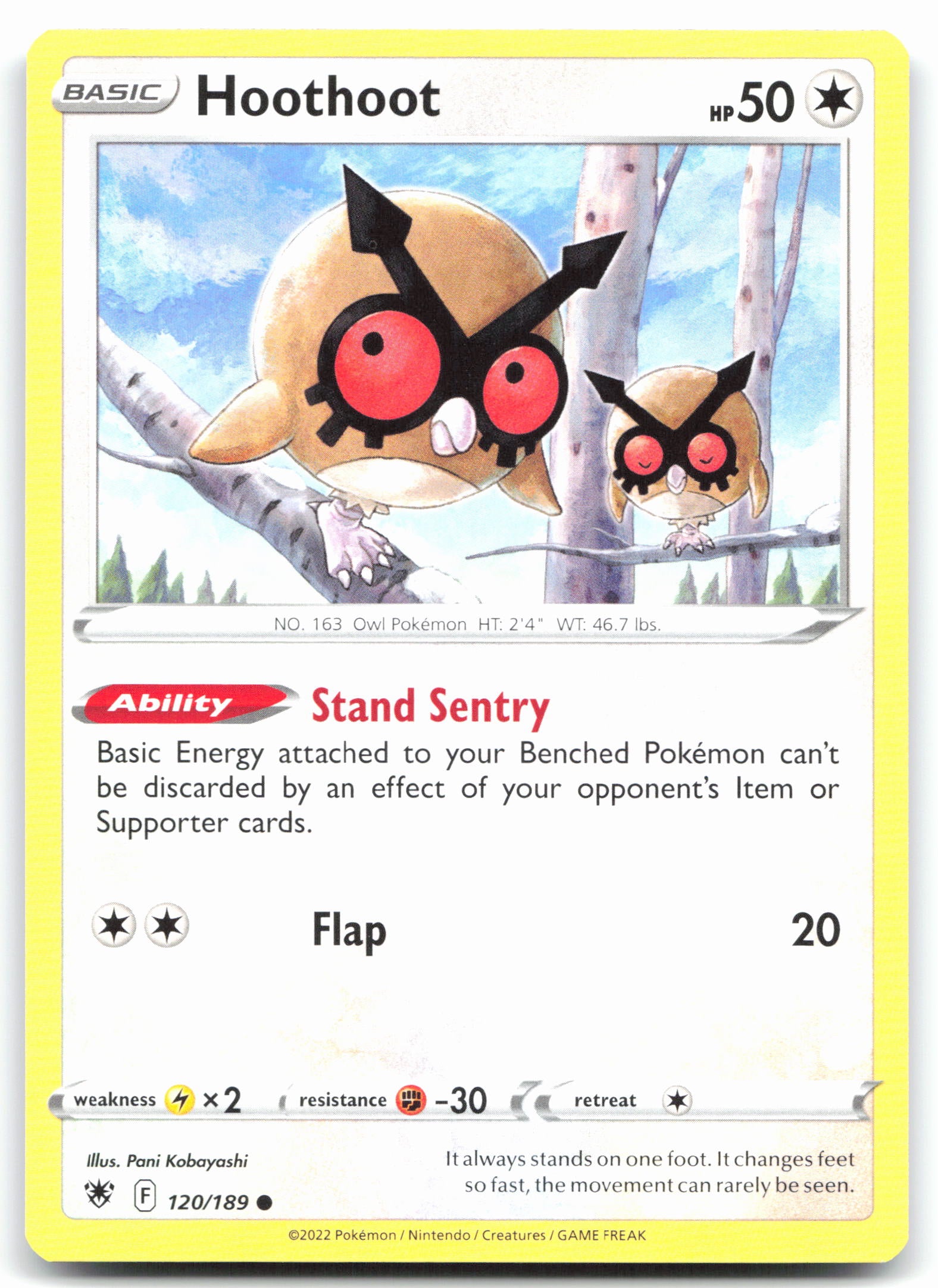 Hoothoot