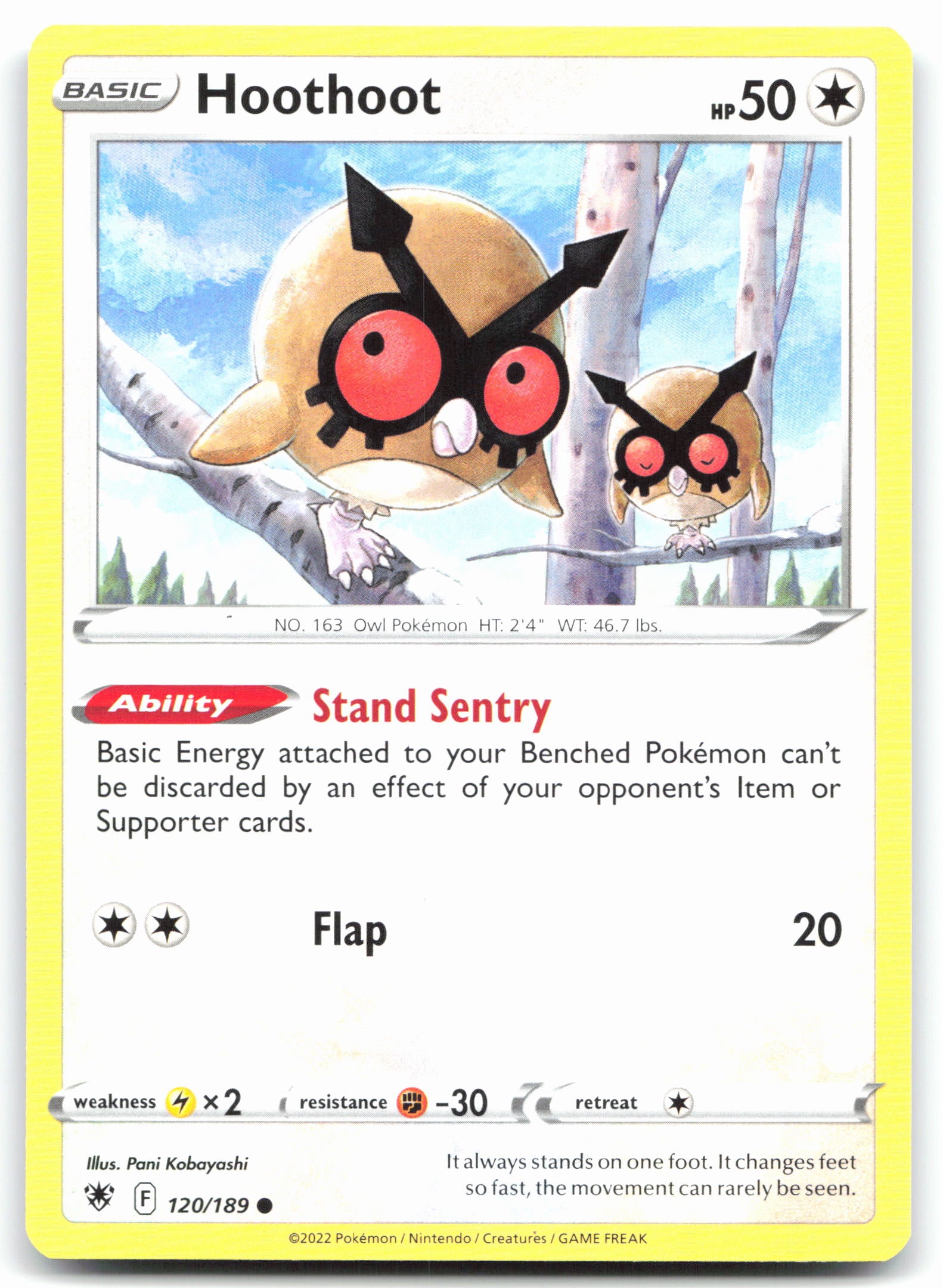 Hoothoot