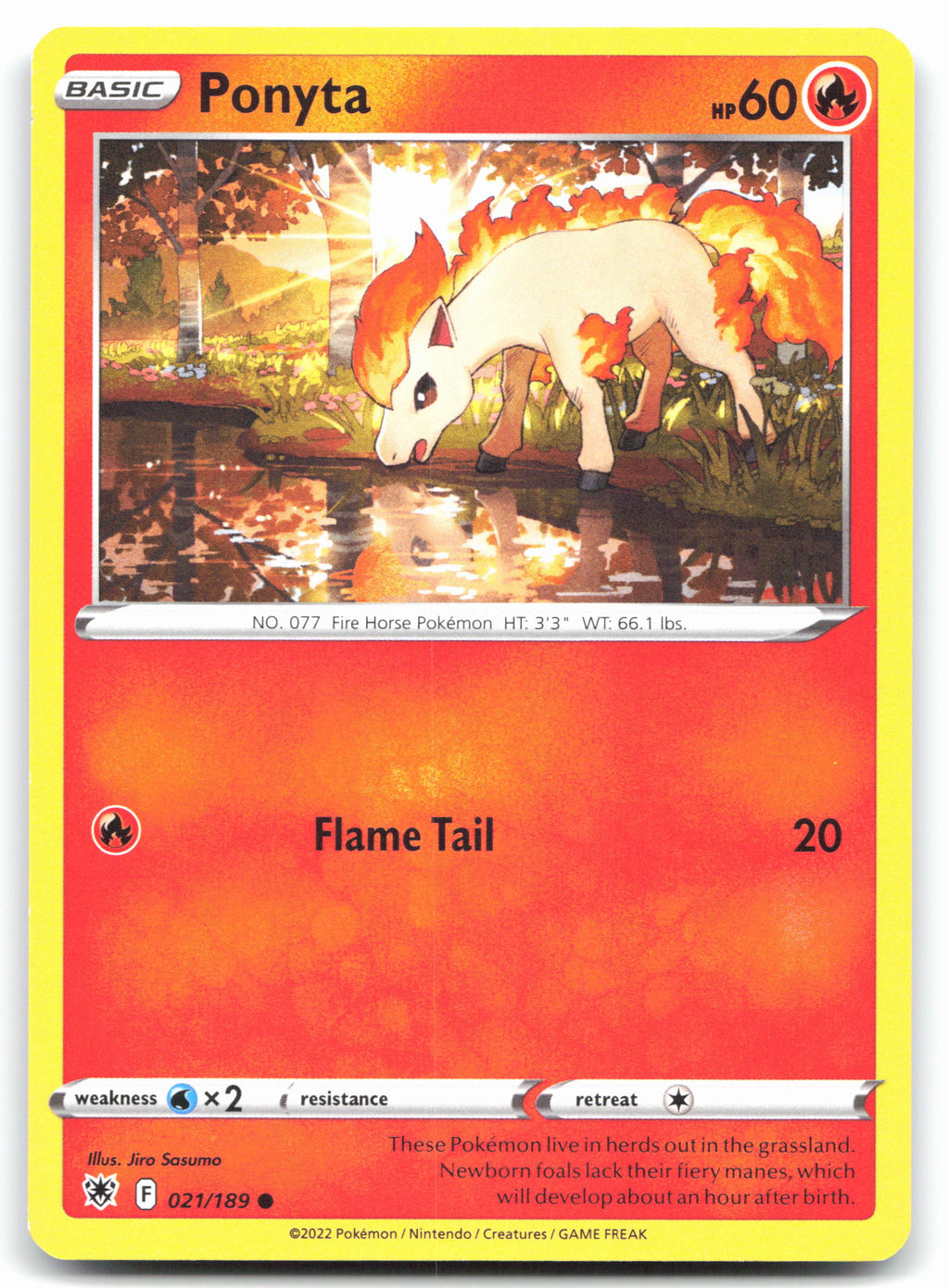 Ponyta