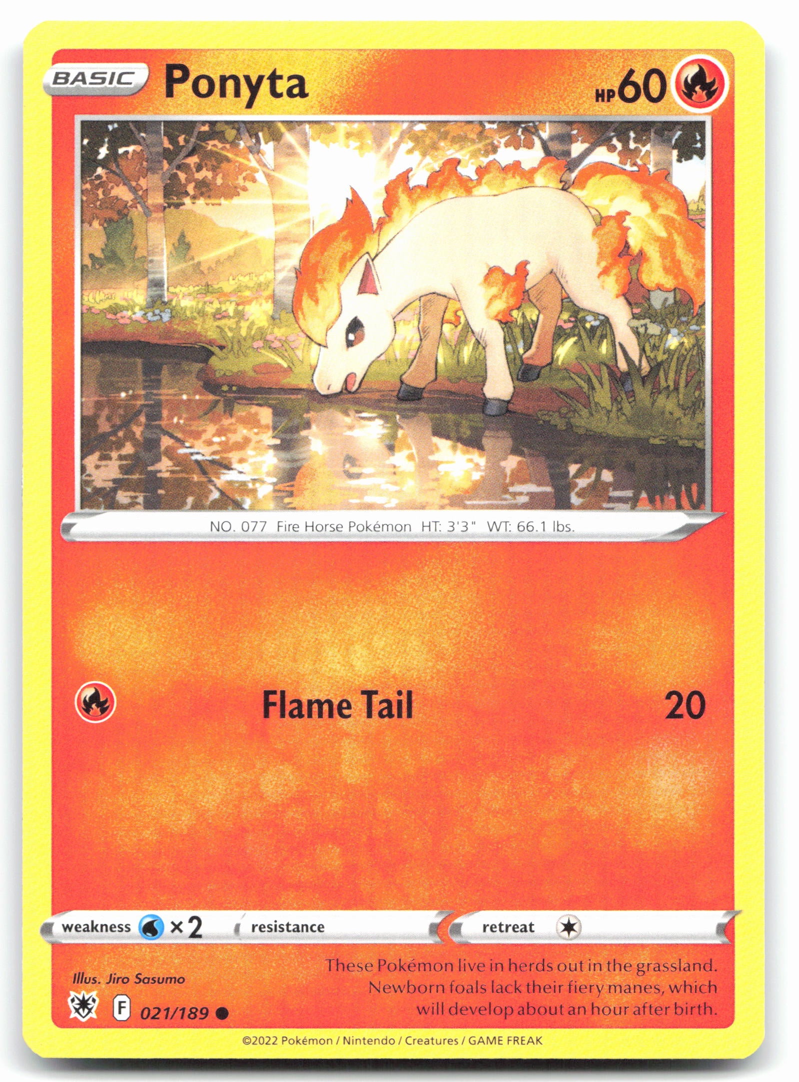 Ponyta