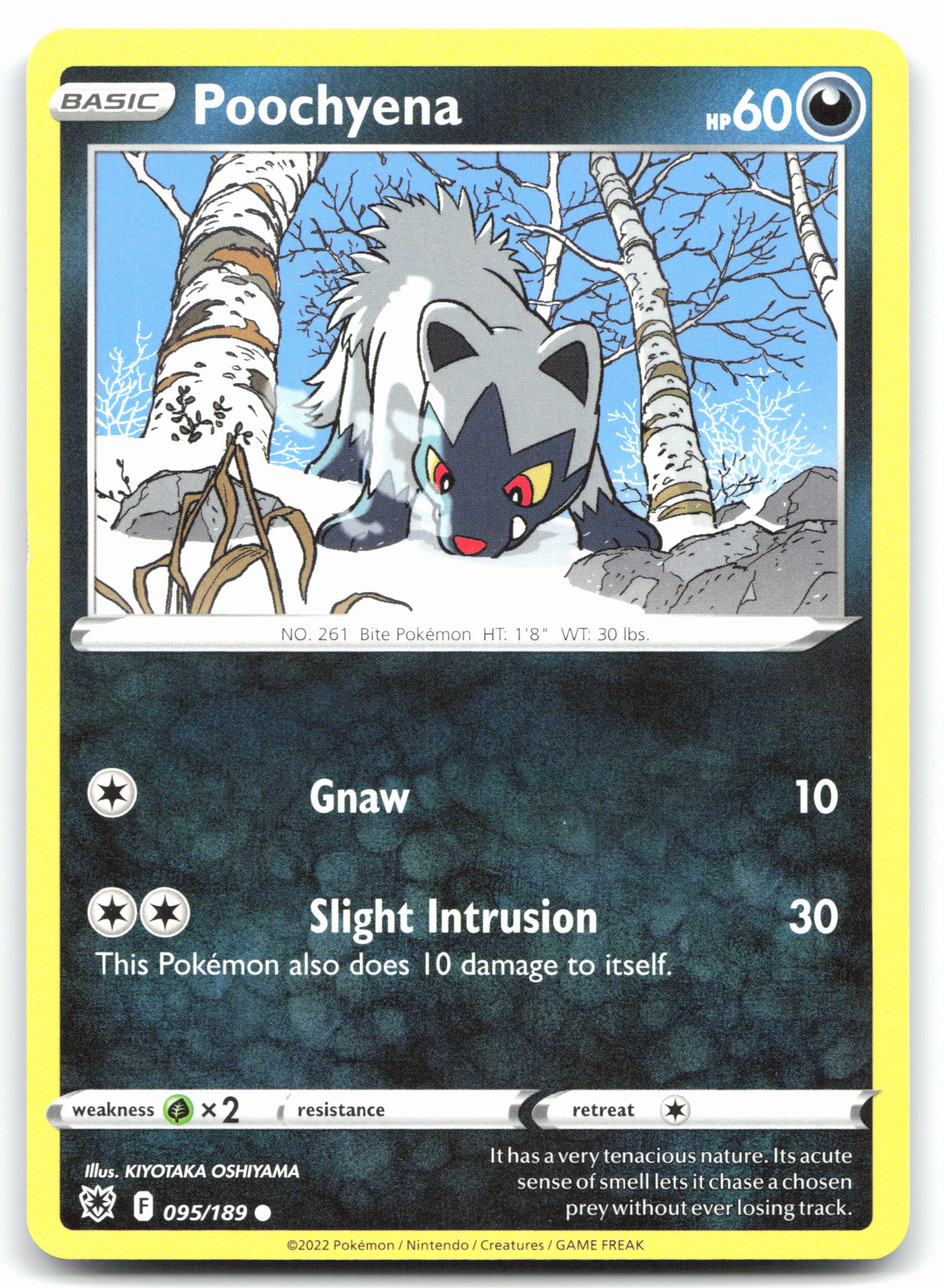Poochyena