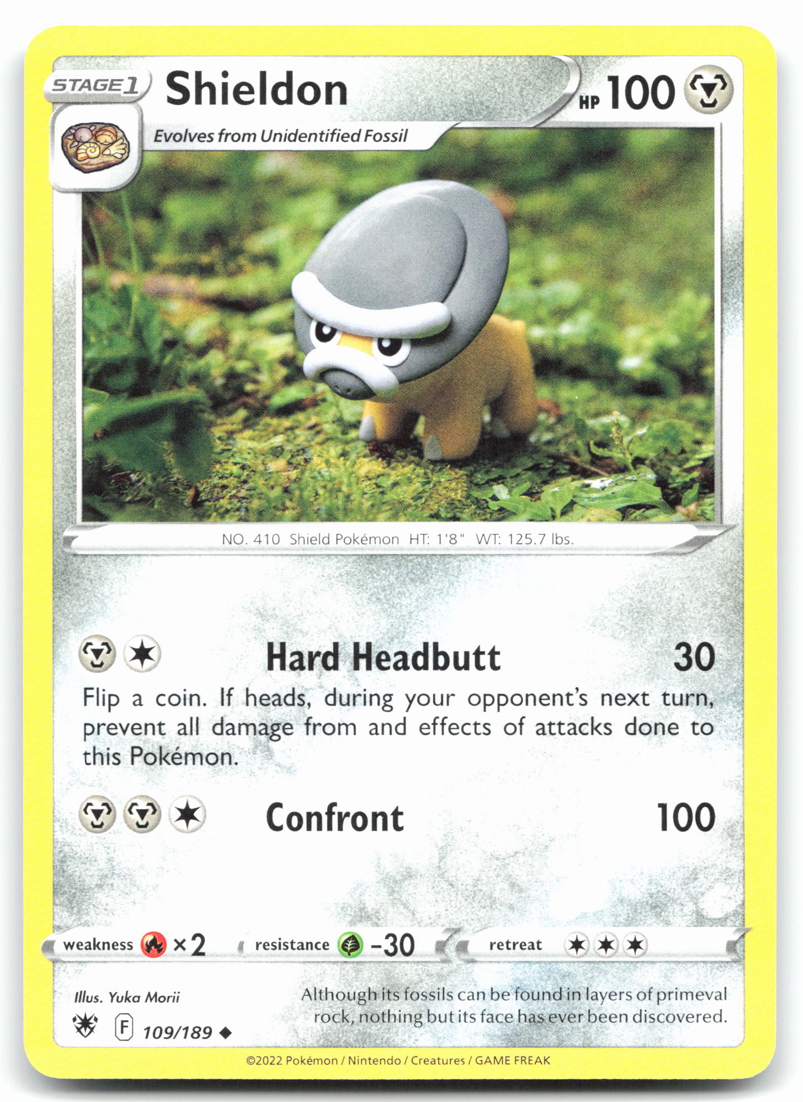 Shieldon