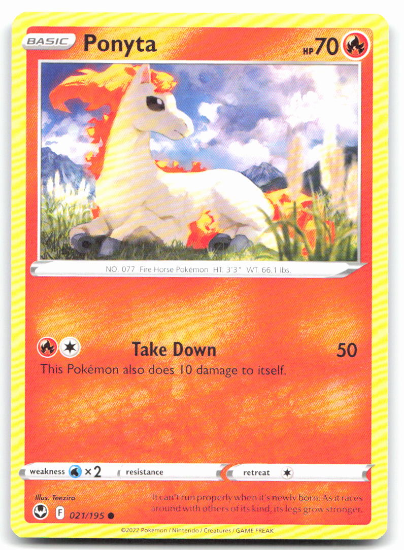 Ponyta
