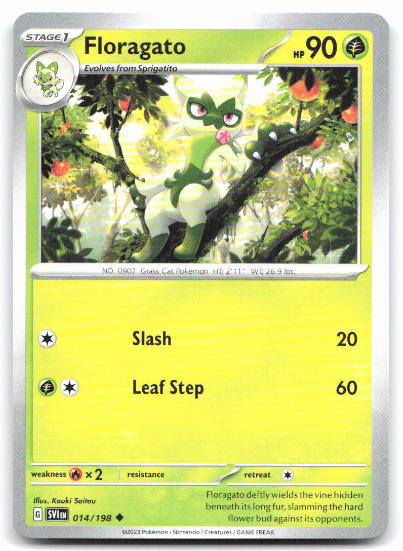 Floragato