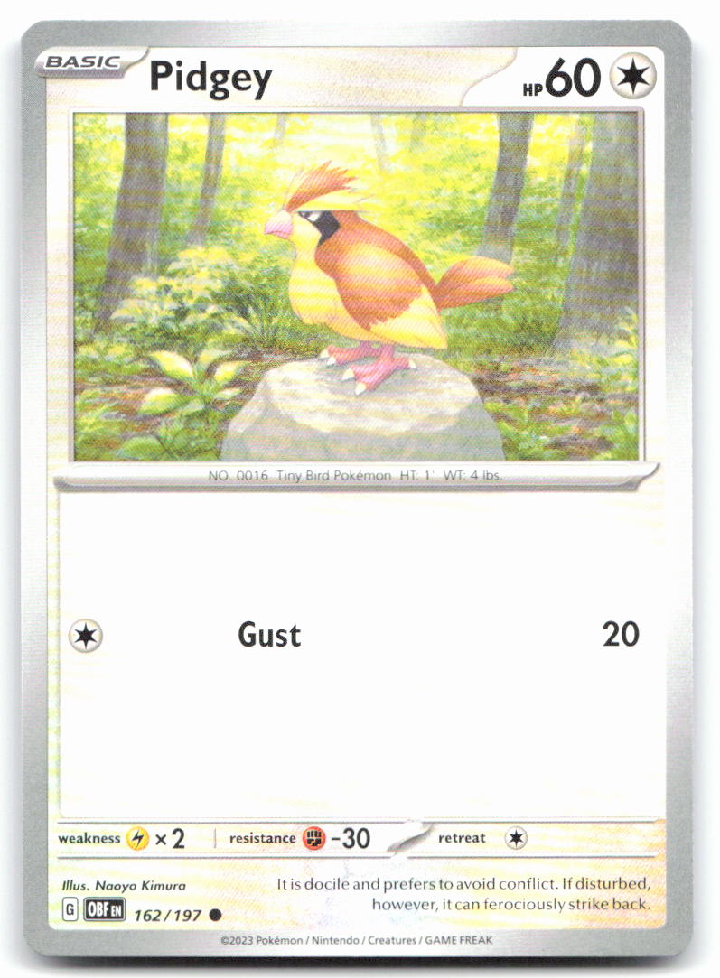 Pidgey