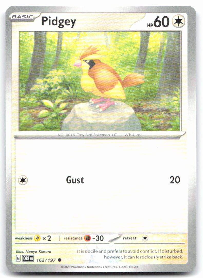 Pidgey