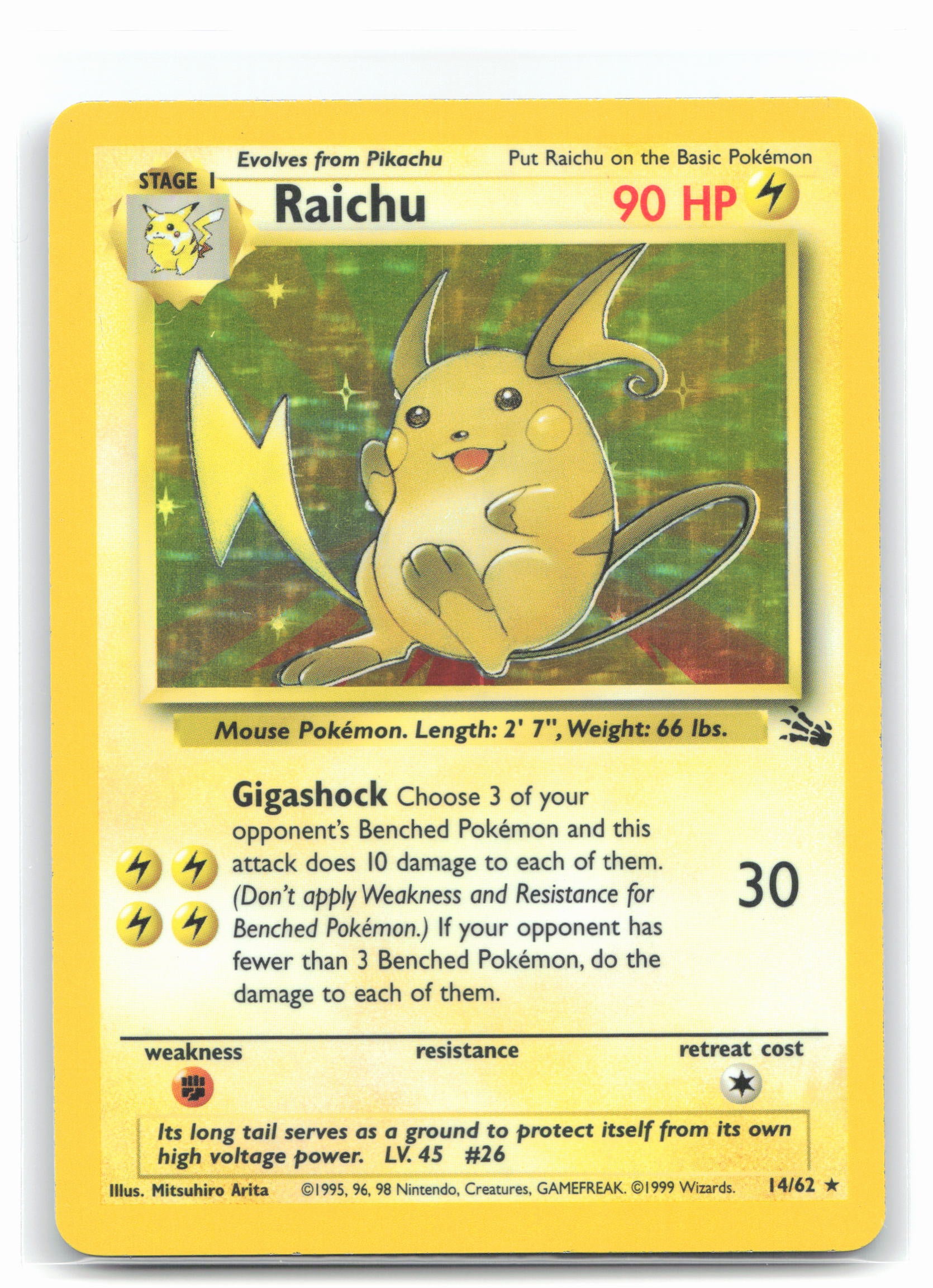 Raichu (14)