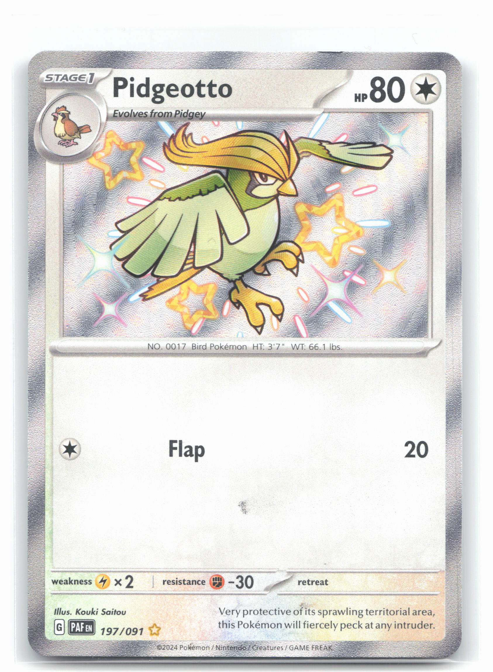 Pidgeotto