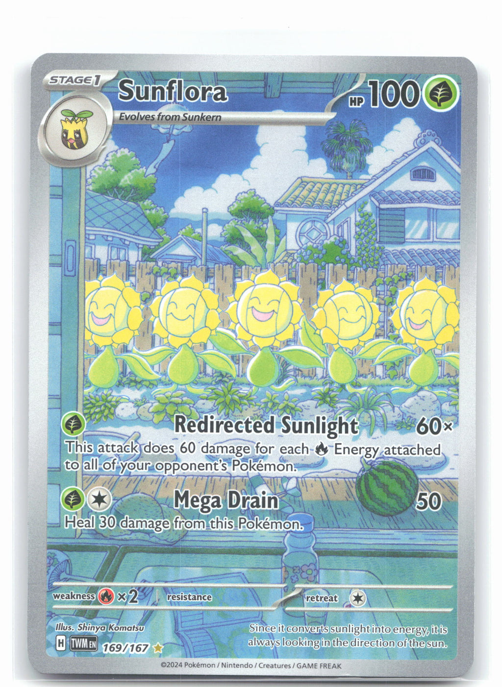 Sunflora - 169/167