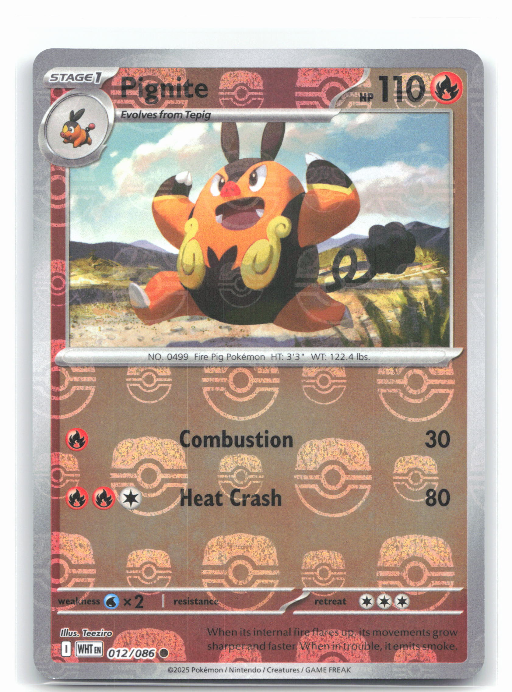 Pignite (Master Ball Pattern)
