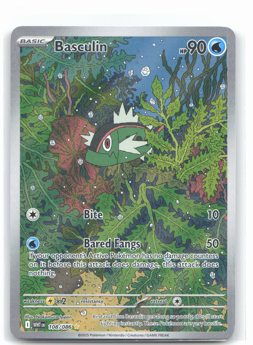 Basculin - 108/086