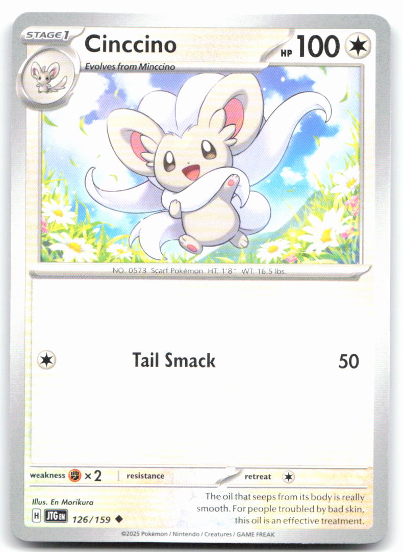 Cinccino