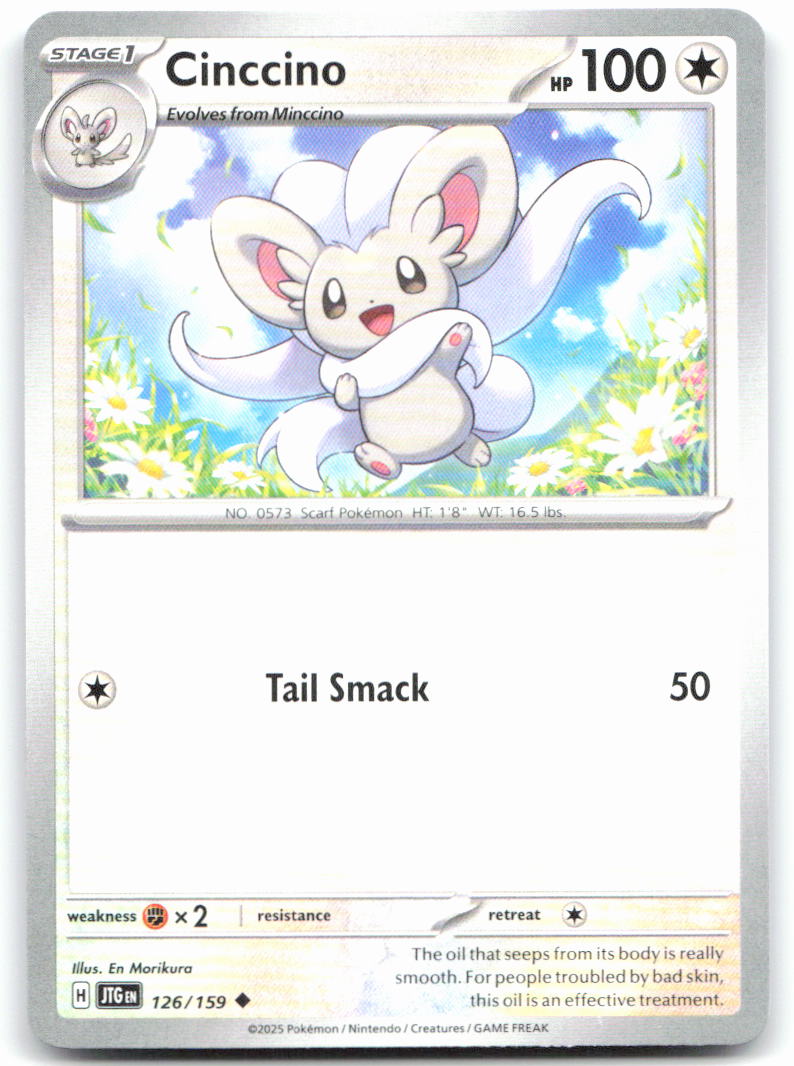Cinccino