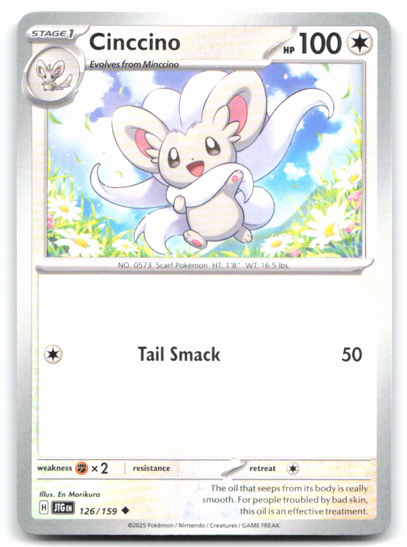 Cinccino