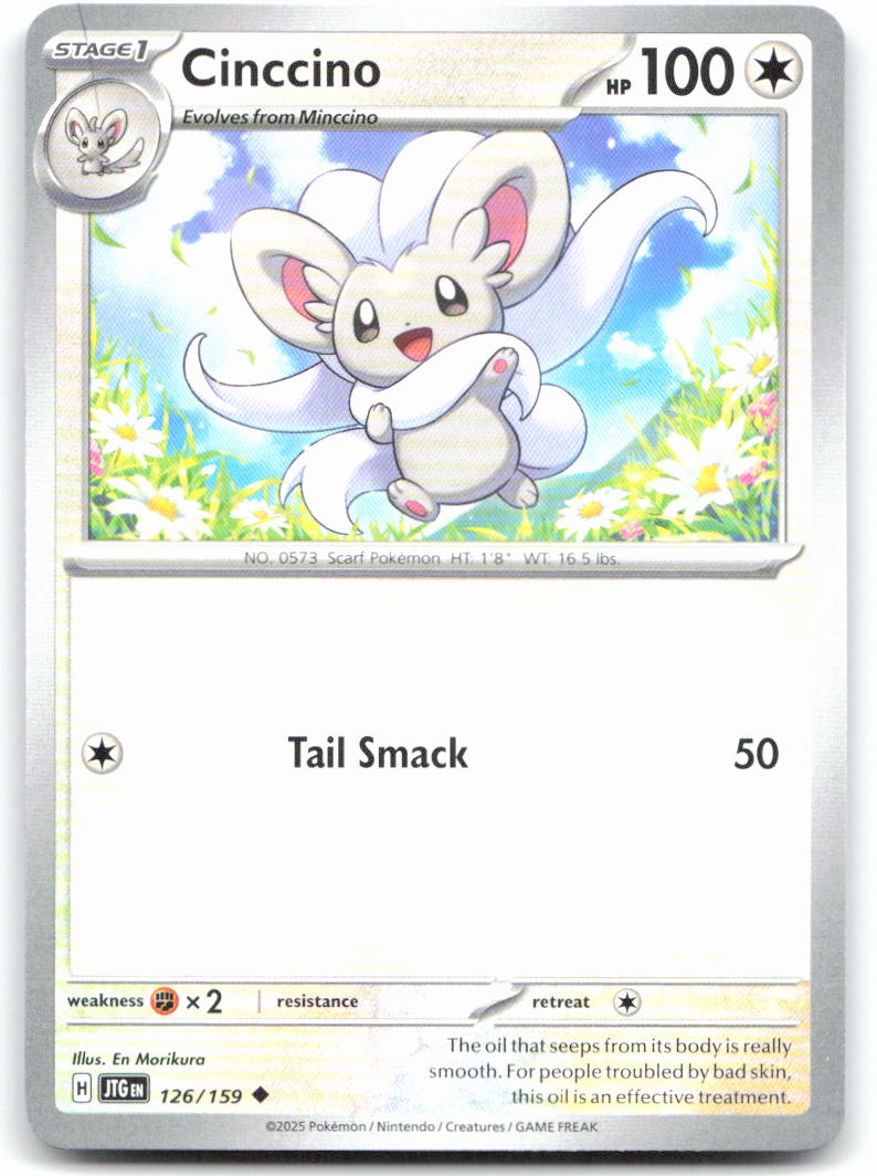 Cinccino