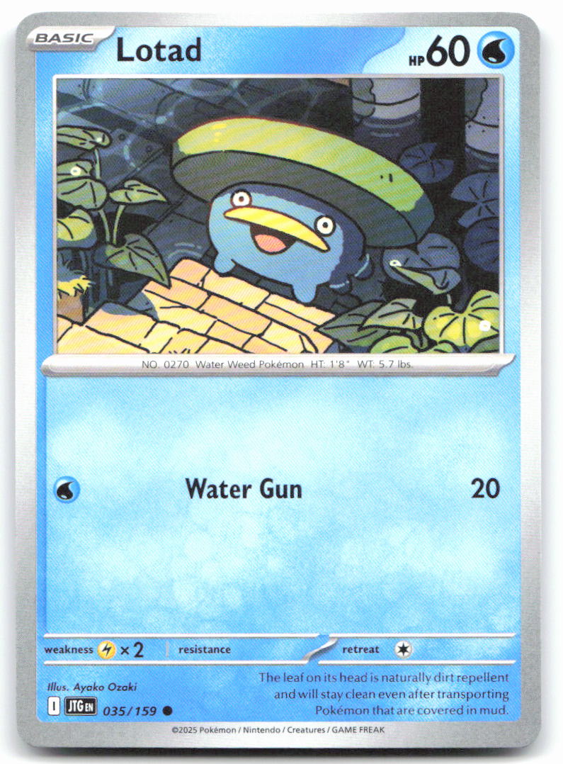Lotad