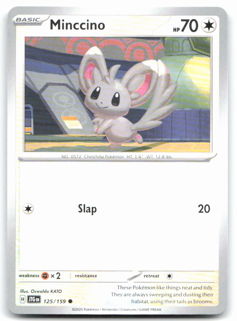 Minccino