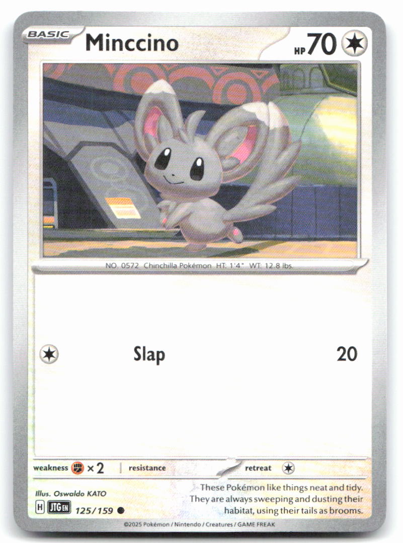 Minccino