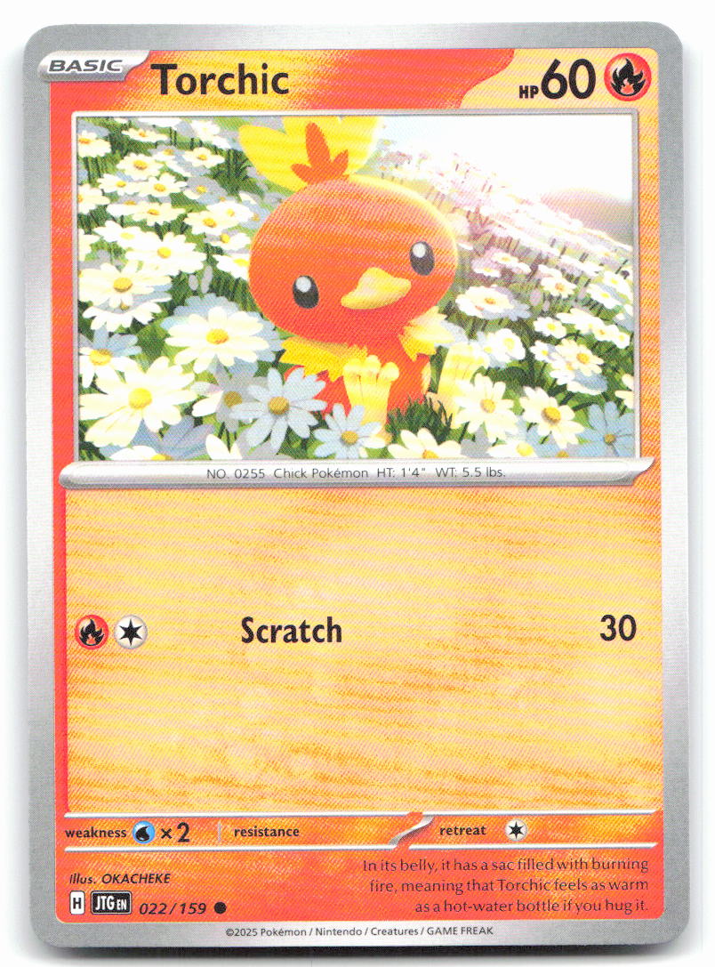 Torchic