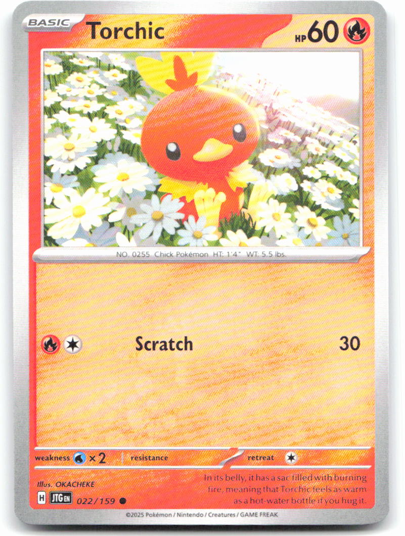 Torchic