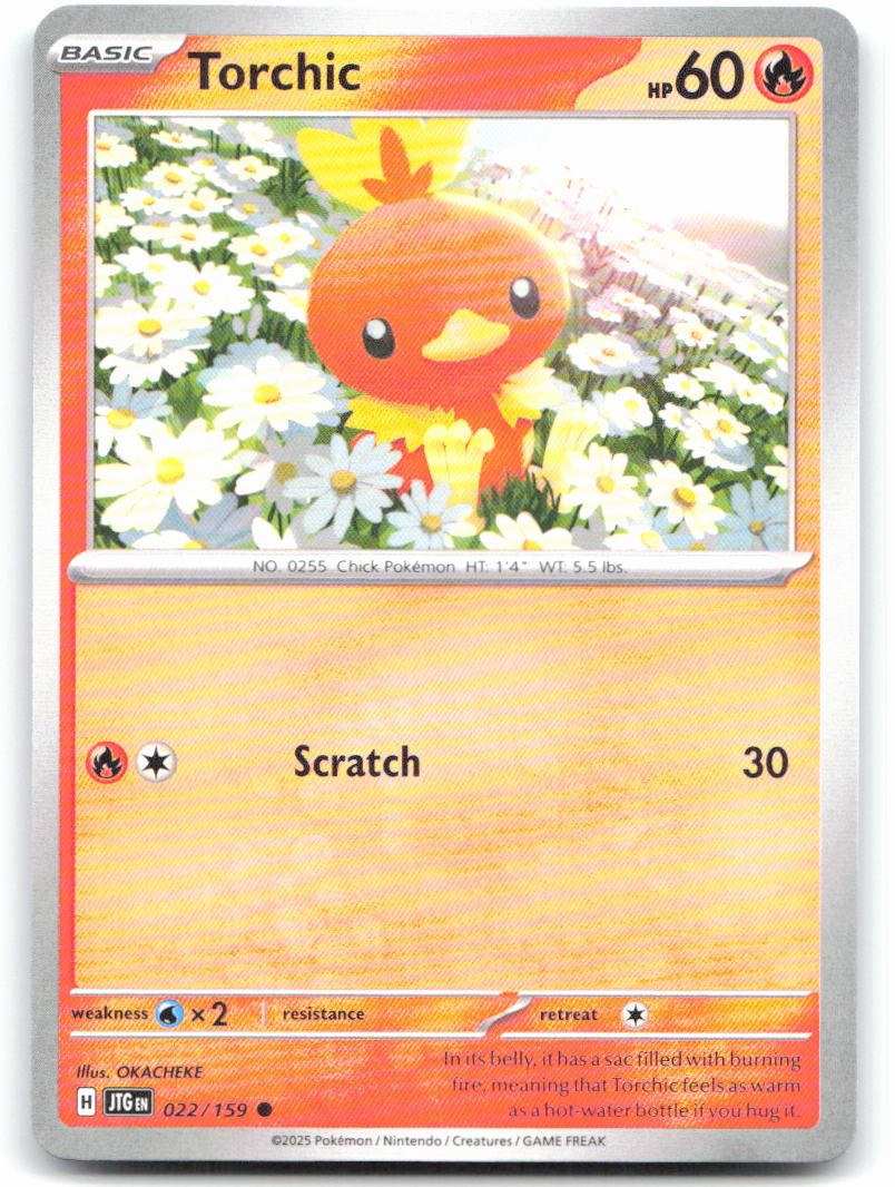 Torchic
