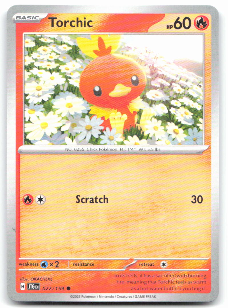 Torchic