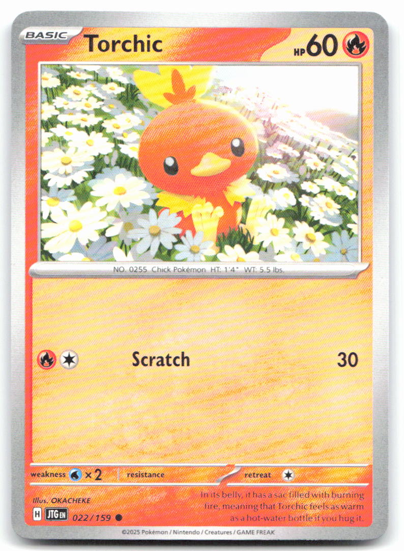 Torchic