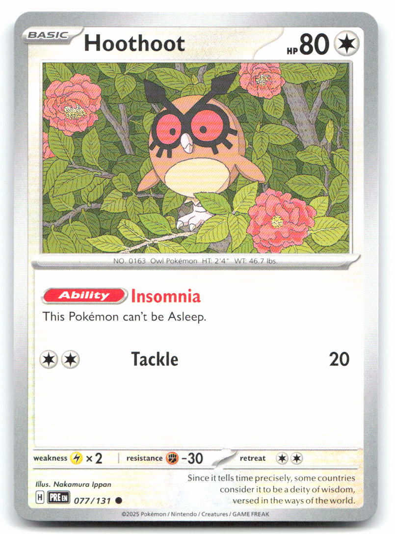 Hoothoot